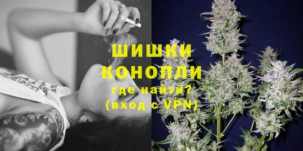 скорость Бородино