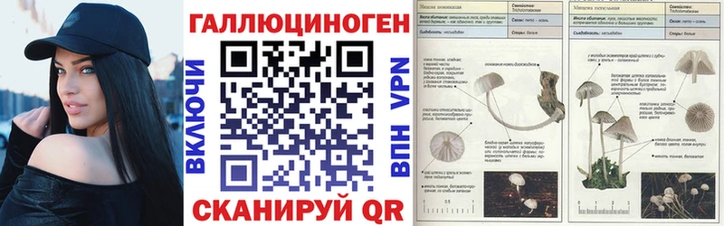 Галлюциногенные грибы ЛСД  Грязовец 